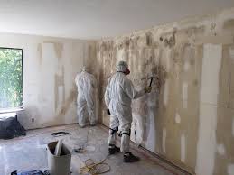 Best Commercial Mold Inspection in USA